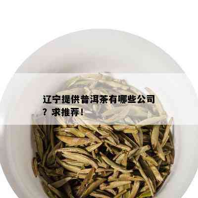 辽宁提供普洱茶有哪些公司？求推荐！