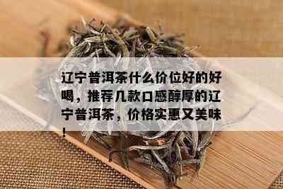 辽宁普洱茶什么价位好的好喝，推荐几款口感醇厚的辽宁普洱茶，价格实惠又美味！