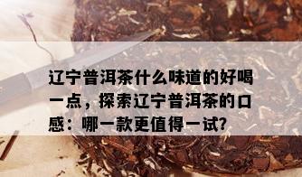 辽宁普洱茶什么味道的好喝一点，探索辽宁普洱茶的口感：哪一款更值得一试？