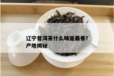 辽宁普洱茶什么味道最香？产地揭秘