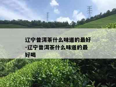 辽宁普洱茶什么味道的更好-辽宁普洱茶什么味道的更好喝