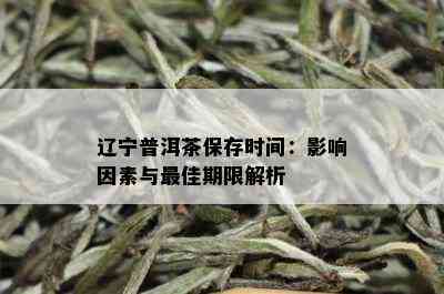 辽宁普洱茶保存时间：影响因素与更佳期限解析