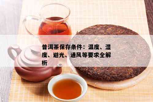 普洱茶保存条件：温度、湿度、避光、通风等要求全解析