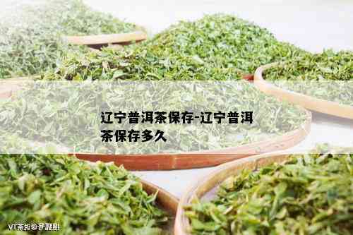 辽宁普洱茶保存-辽宁普洱茶保存多久