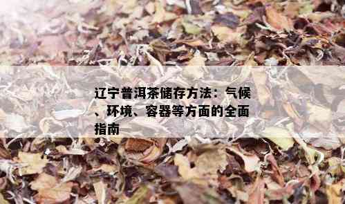 辽宁普洱茶储存方法：气候、环境、容器等方面的全面指南