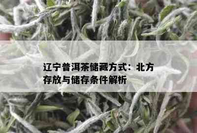 辽宁普洱茶储藏方式：北方存放与储存条件解析