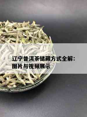 辽宁普洱茶储藏方式全解：图片与视频展示