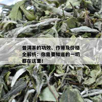 普洱茶的功效、作用及价格全解析：你需要知道的一切都在这里！