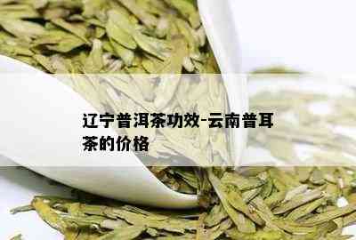 辽宁普洱茶功效-云南普耳茶的价格