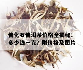 普化石普洱茶价格全揭秘：多少钱一克？附价格及图片