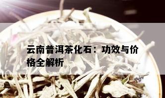 云南普洱茶化石：功效与价格全解析