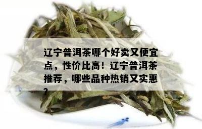 辽宁普洱茶哪个好卖又便宜点，性价比高！辽宁普洱茶推荐，哪些品种热销又实惠？