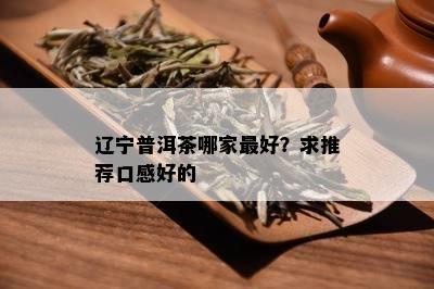 辽宁普洱茶哪家更好？求推荐口感好的