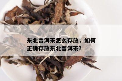 东北普洱茶怎么存放，如何正确存放东北普洱茶？