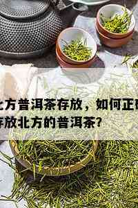 北方普洱茶存放，如何正确存放北方的普洱茶？