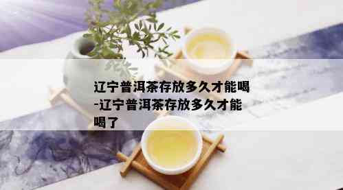 辽宁普洱茶存放多久才能喝-辽宁普洱茶存放多久才能喝了