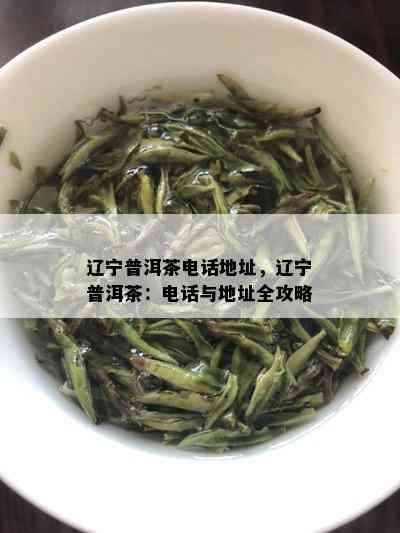 辽宁普洱茶电话地址，辽宁普洱茶：电话与地址全攻略