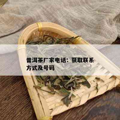 普洱茶厂家电话：获取联系方式及号码