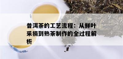 普洱茶的工艺流程：从鲜叶采摘到熟茶制作的全过程解析