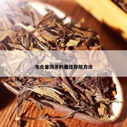 东北普洱茶的更佳存放方法