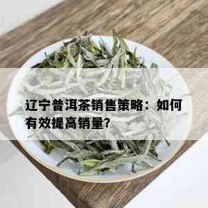 辽宁普洱茶销售策略：如何有效提高销量？