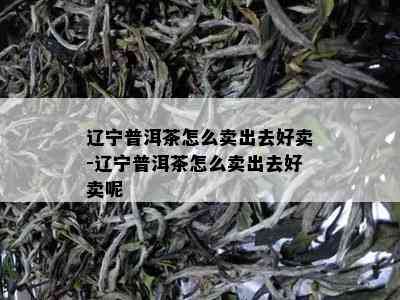 辽宁普洱茶怎么卖出去好卖-辽宁普洱茶怎么卖出去好卖呢