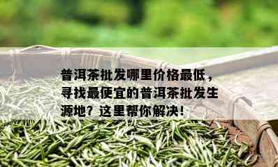 普洱茶批发哪里价格更低，寻找更便宜的普洱茶批发生源地？这里帮你解决！