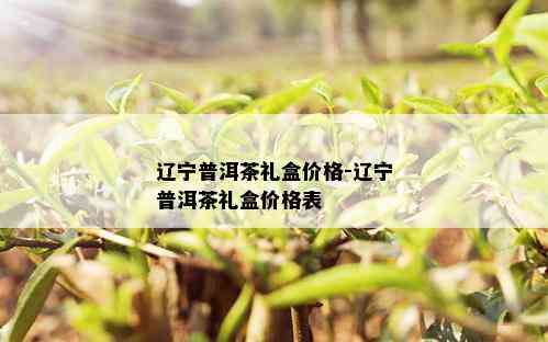 辽宁普洱茶礼盒价格-辽宁普洱茶礼盒价格表