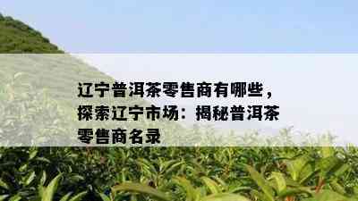 辽宁普洱茶零售商有哪些，探索辽宁市场：揭秘普洱茶零售商名录