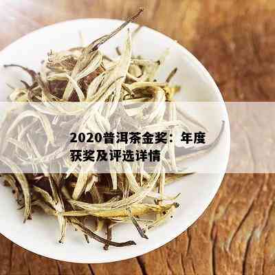 2020普洱茶金奖：年度获奖及评选详情