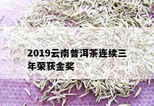 2019云南普洱茶连续三年荣获金奖