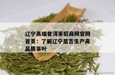 辽宁高端普洱茶招商网官网首页：了解辽宁是否生产高品质茶叶