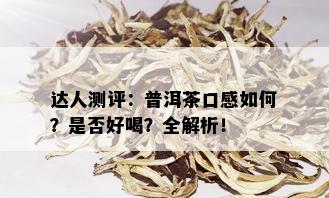 达人测评：普洱茶口感如何？是否好喝？全解析！