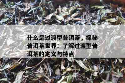 什么是过渡型普洱茶，探秘普洱茶世界：了解过渡型普洱茶的定义与特点