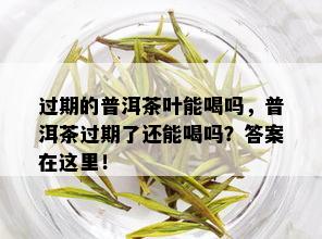 过期的普洱茶叶能喝吗，普洱茶过期了还能喝吗？答案在这里！