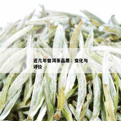 近几年普洱茶品质：变化与评价