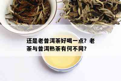 还是老普洱茶好喝一点？老茶与普洱熟茶有何不同？