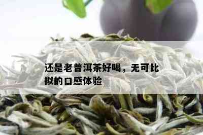 还是老普洱茶好喝，无可比拟的口感体验