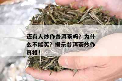 还有人炒作普洱茶吗？为什么不能买？揭示普洱茶炒作真相！