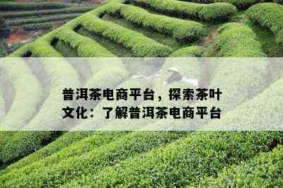 普洱茶电商平台，探索茶叶文化：了解普洱茶电商平台