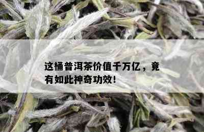 这桶普洱茶价值千万亿，竟有如此神奇功效！