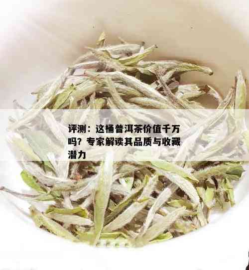 评测：这桶普洱茶价值千万吗？专家解读其品质与收藏潜力