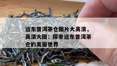 远东普洱茶仓图片大高清，高清大图：探索远东普洱茶仓的美丽世界