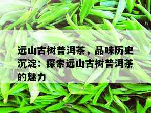 远山古树普洱茶，品味历史沉淀：探索远山古树普洱茶的魅力