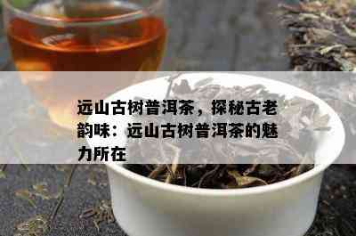 远山古树普洱茶，探秘古老韵味：远山古树普洱茶的魅力所在