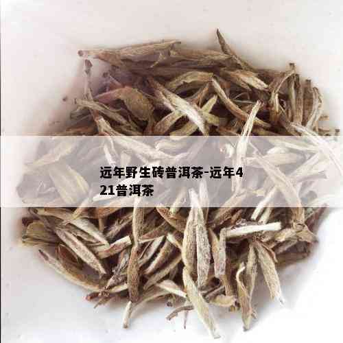 远年野生砖普洱茶-远年421普洱茶