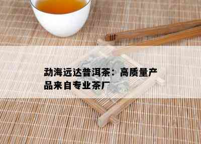 勐海远达普洱茶：高质量产品来自专业茶厂