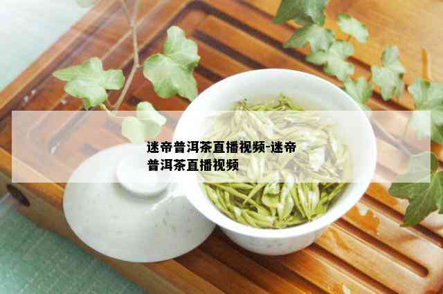 迷帝普洱茶直播视频-迷帝普洱茶直播视频