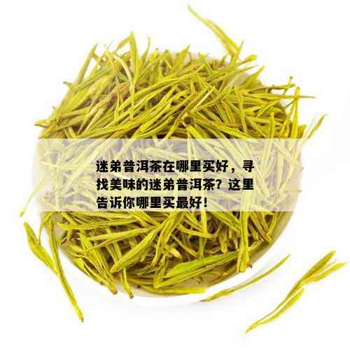 迷弟普洱茶在哪里买好，寻找美味的迷弟普洱茶？这里告诉你哪里买更好！