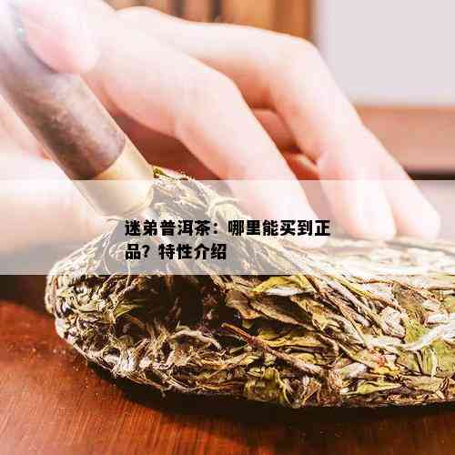 迷弟普洱茶：哪里能买到正品？特性介绍